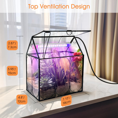 RIFNY terrarium glow showcases 5W LED red and blue spectrum