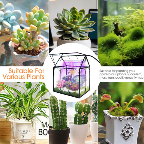 RIFNY terrarium office decor inspires nature-friendly workspaces