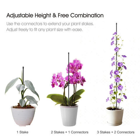 RIFNY 14-inch stakes are easy to assemble and reposition during growth.