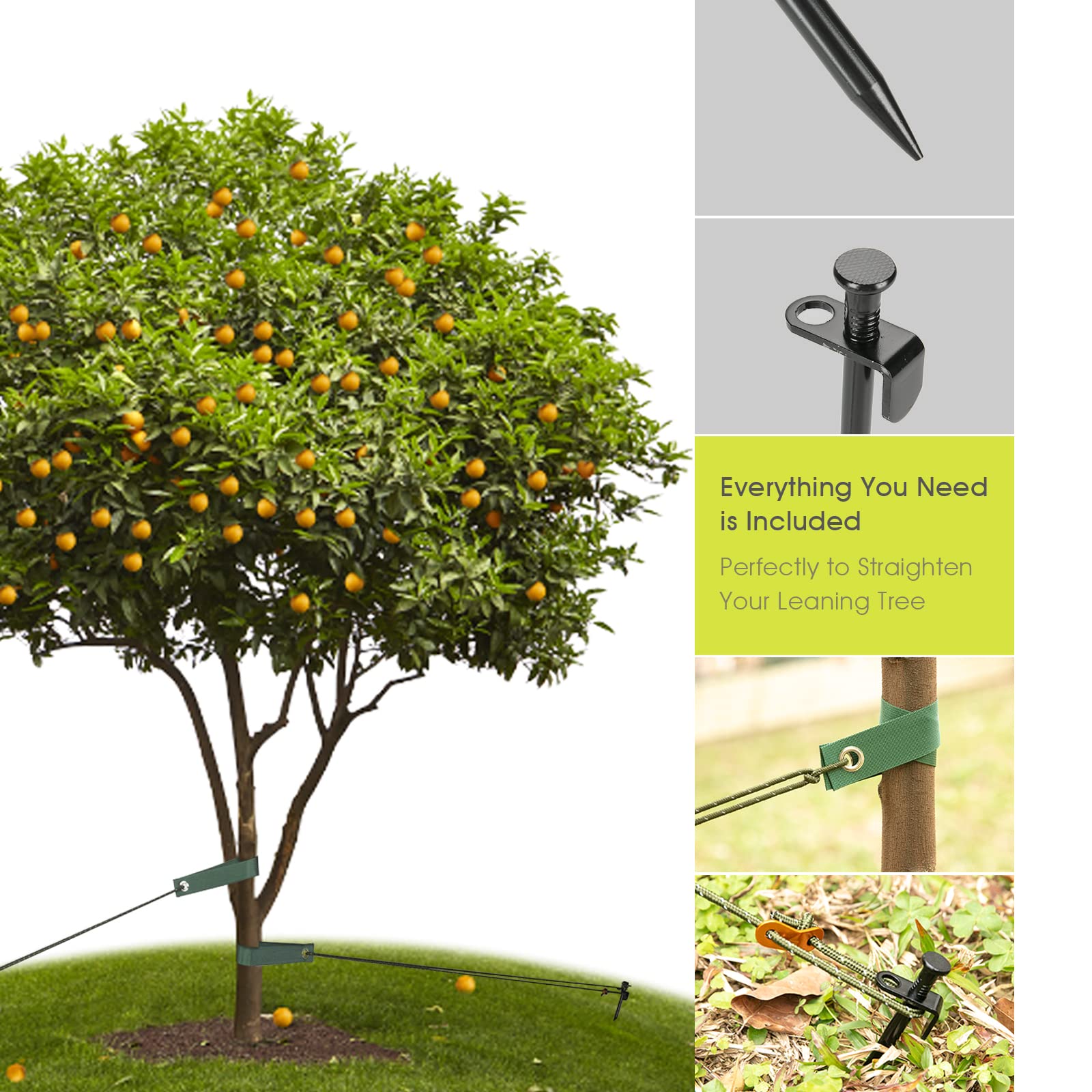 RIFNY straps distribute load to protect bark and prevent constriction