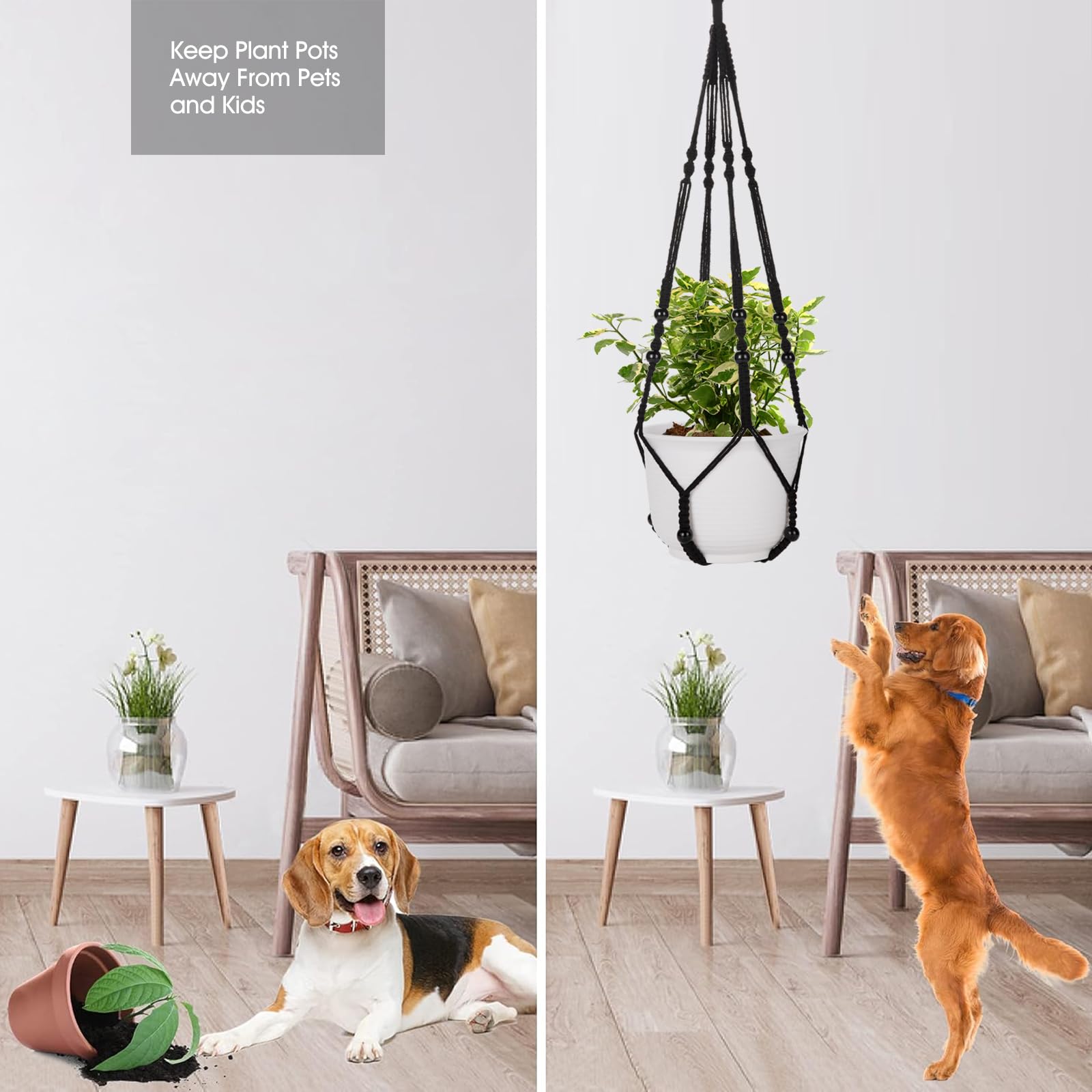 RIFNY two-pack plant hangers with hooks for easy gardening setup.