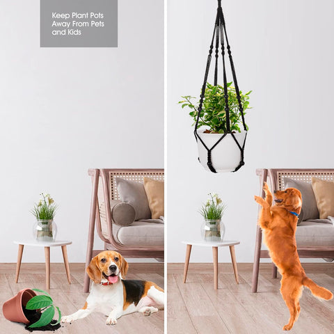 RIFNY two-pack plant hangers with hooks for easy gardening setup.