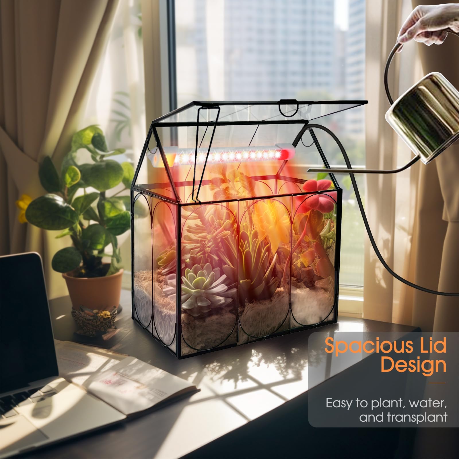 RIFNY Venus fly trap terrarium creates a compact carnivorous display