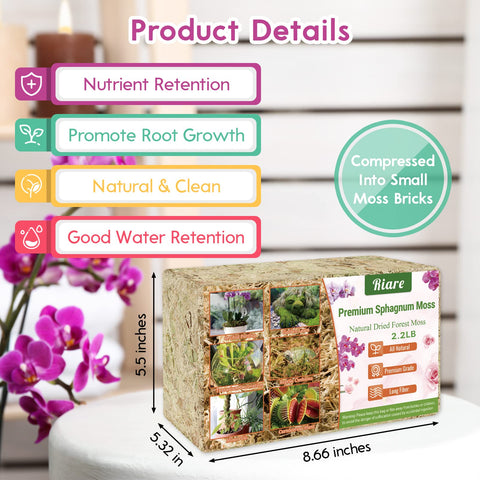Riare sphagnum moss hydrated to fluffy texture for quick plant hydration.