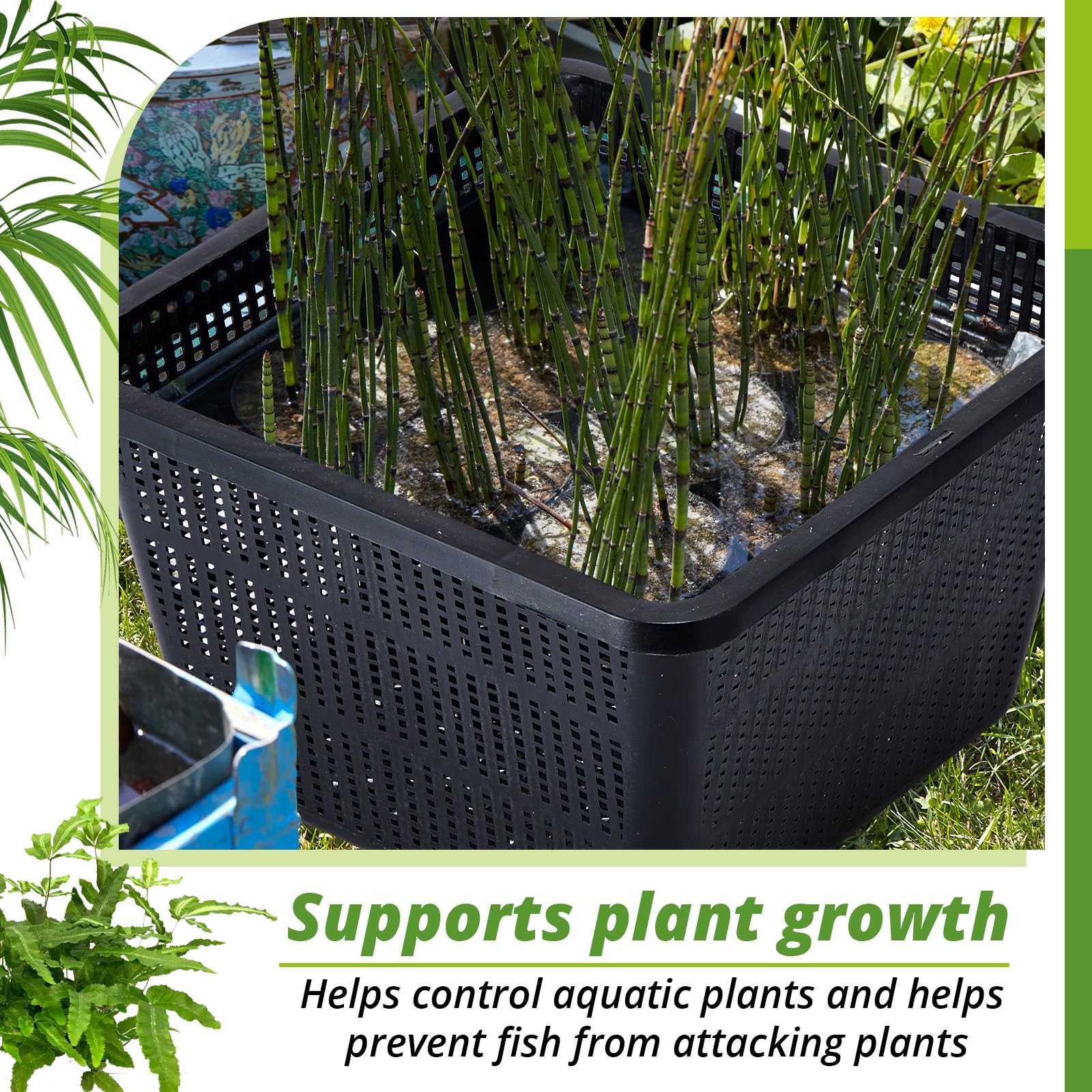 Eight-basket RimCereal pack arranged for a vibrant water garden