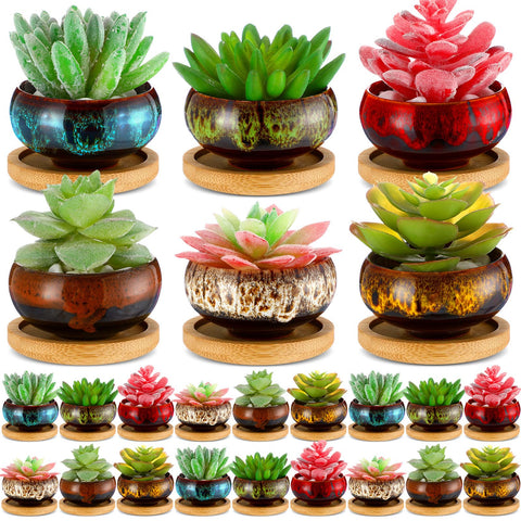 RimCereal ceramic succulent pots 24-pack with drainage for healthy indoor display