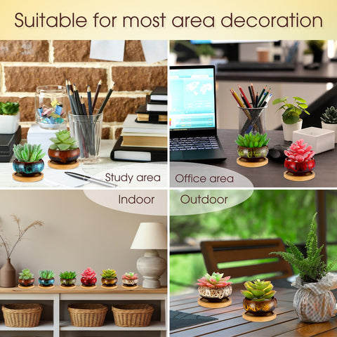 RimCereal compact 2-5 inch pots fit windowsills and small spaces