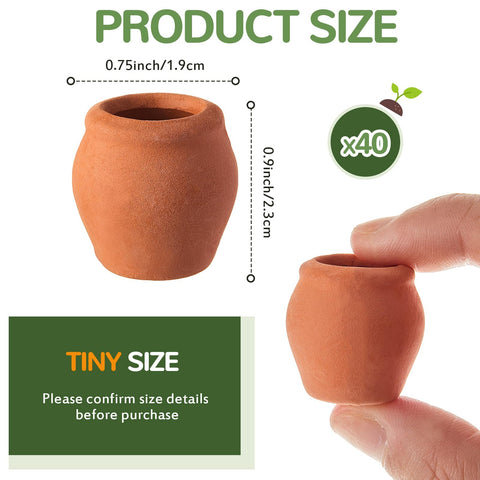 RimCereal desktop garden mini pots enhance office and shelf decor