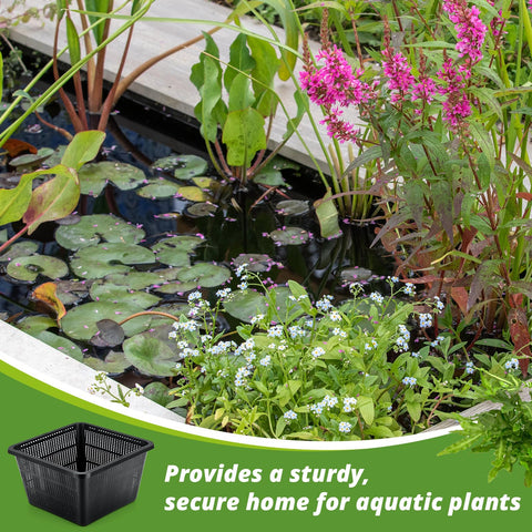 RimCereal drainage system basket supports healthy growth in water.