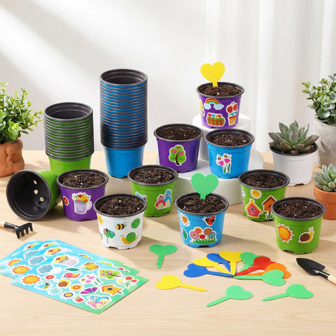 RimCereal spring craft kit for classroom activities and family projects.