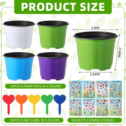 RimCereal decorative stickers for creative pot decoration and gifting.
