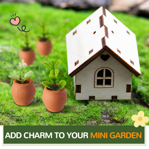RimCereal succulent pots 0.9in height for tiny plants