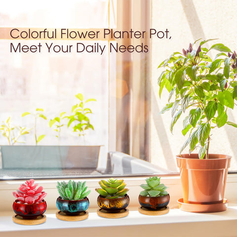 RimCereal succulent pots with bamboo saucers protect surfaces from water
