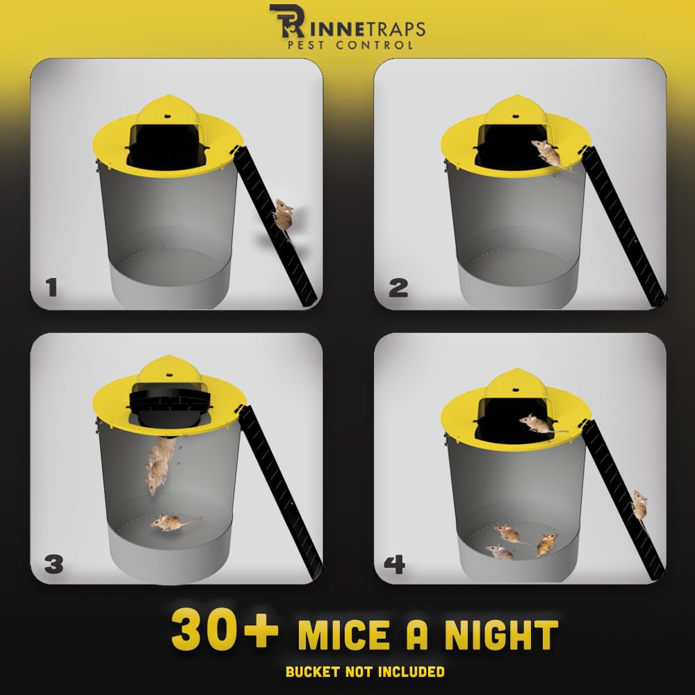 RinneTraps bucket lid activation visual showing setup readiness