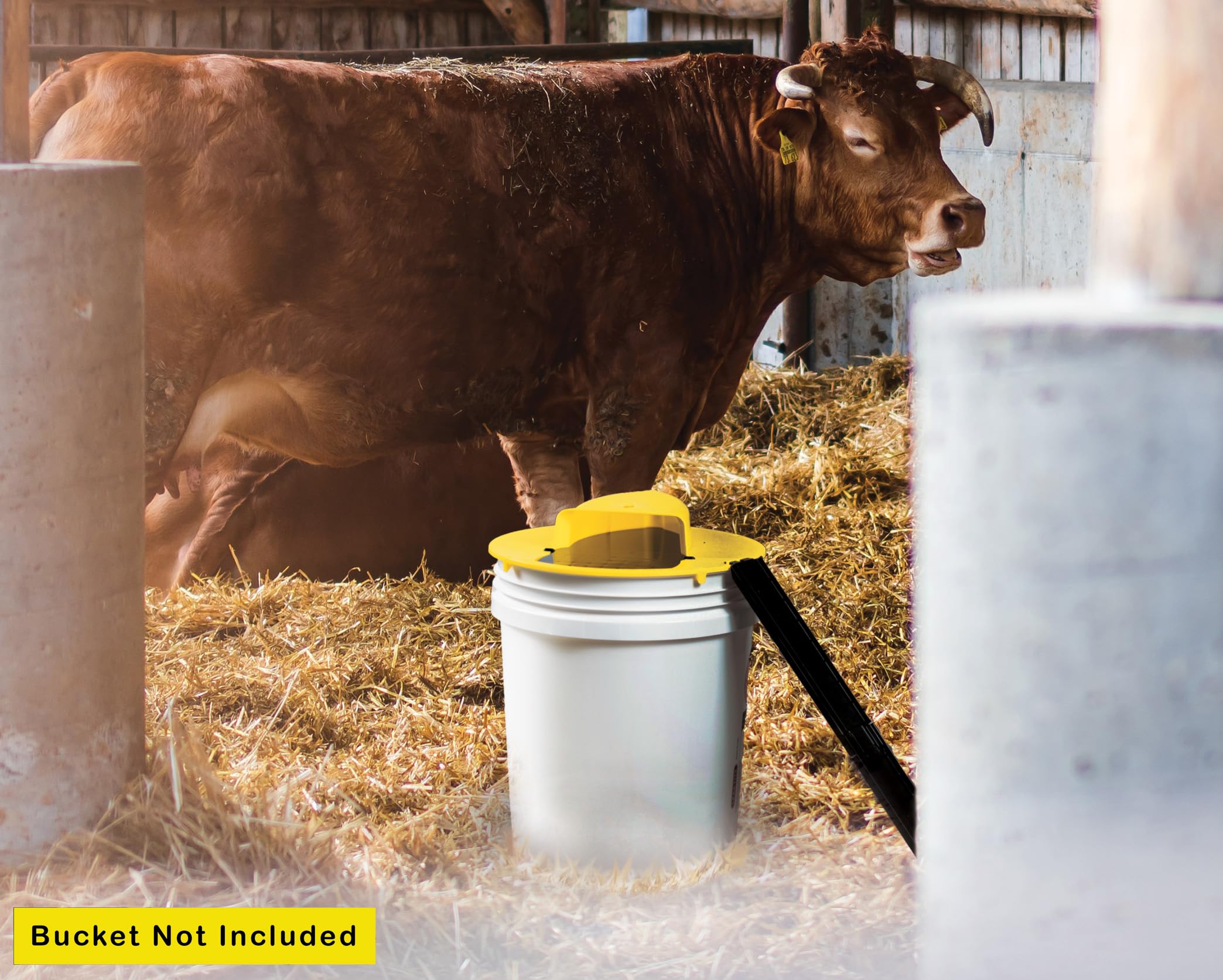 RinneTraps humane trapping design emphasizes safety and low stress