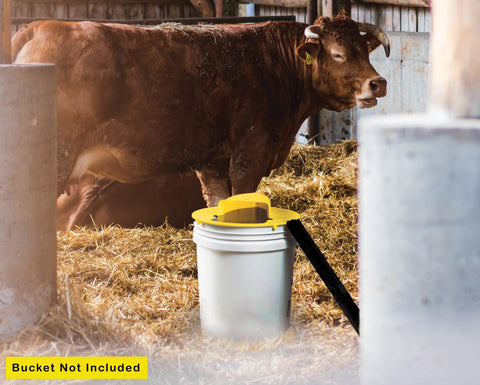 RinneTraps humane trapping design emphasizes safety and low stress