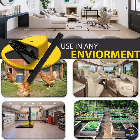 RinneTraps multi catch design ready to capture multiple mice