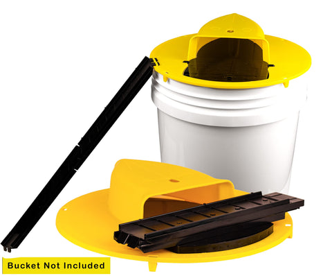 RinneTraps two-pack display shows convenient, cost-effective pest control options.