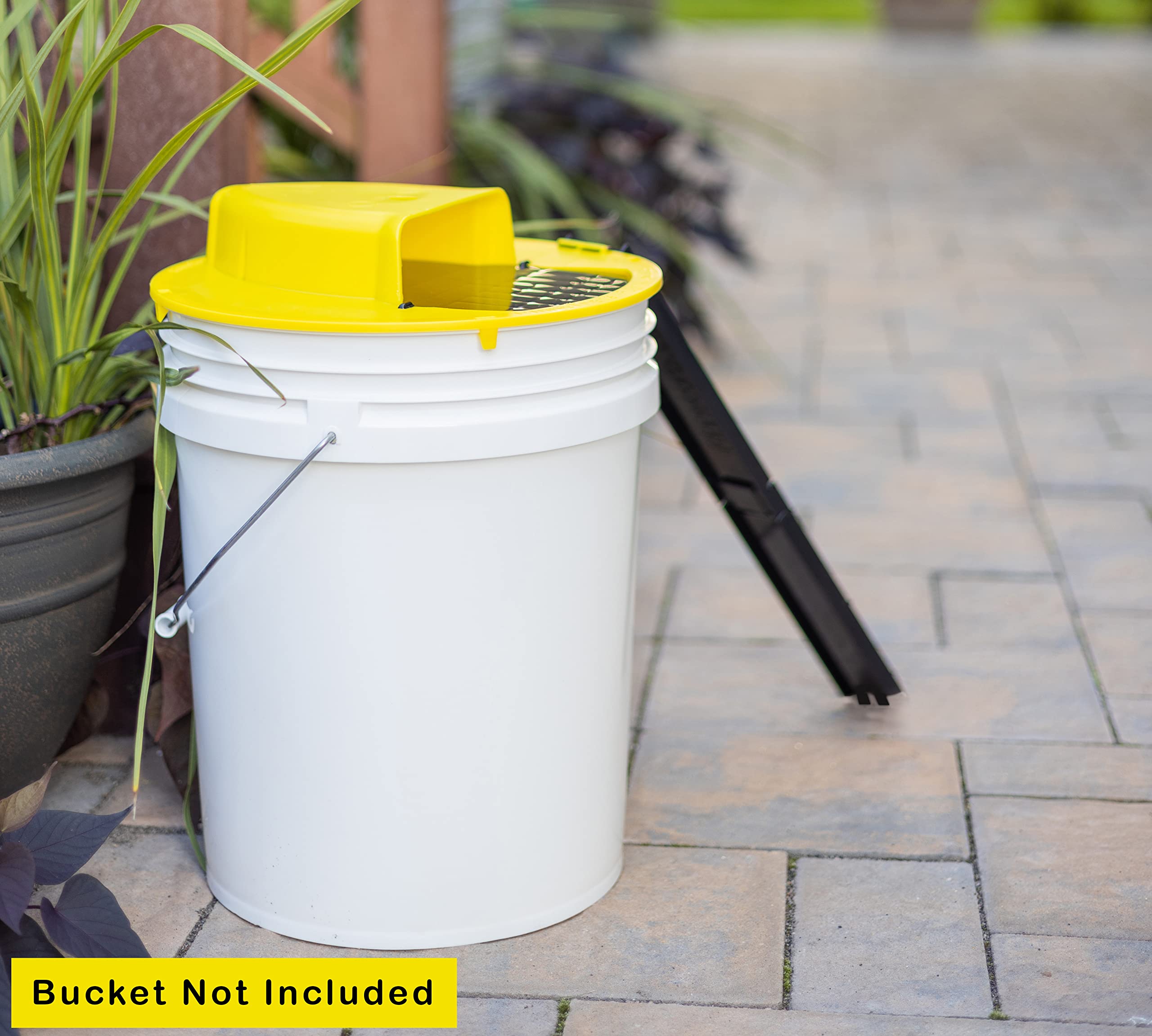 RinneTraps USA-made stamp highlights durable craftsmanship and local production.