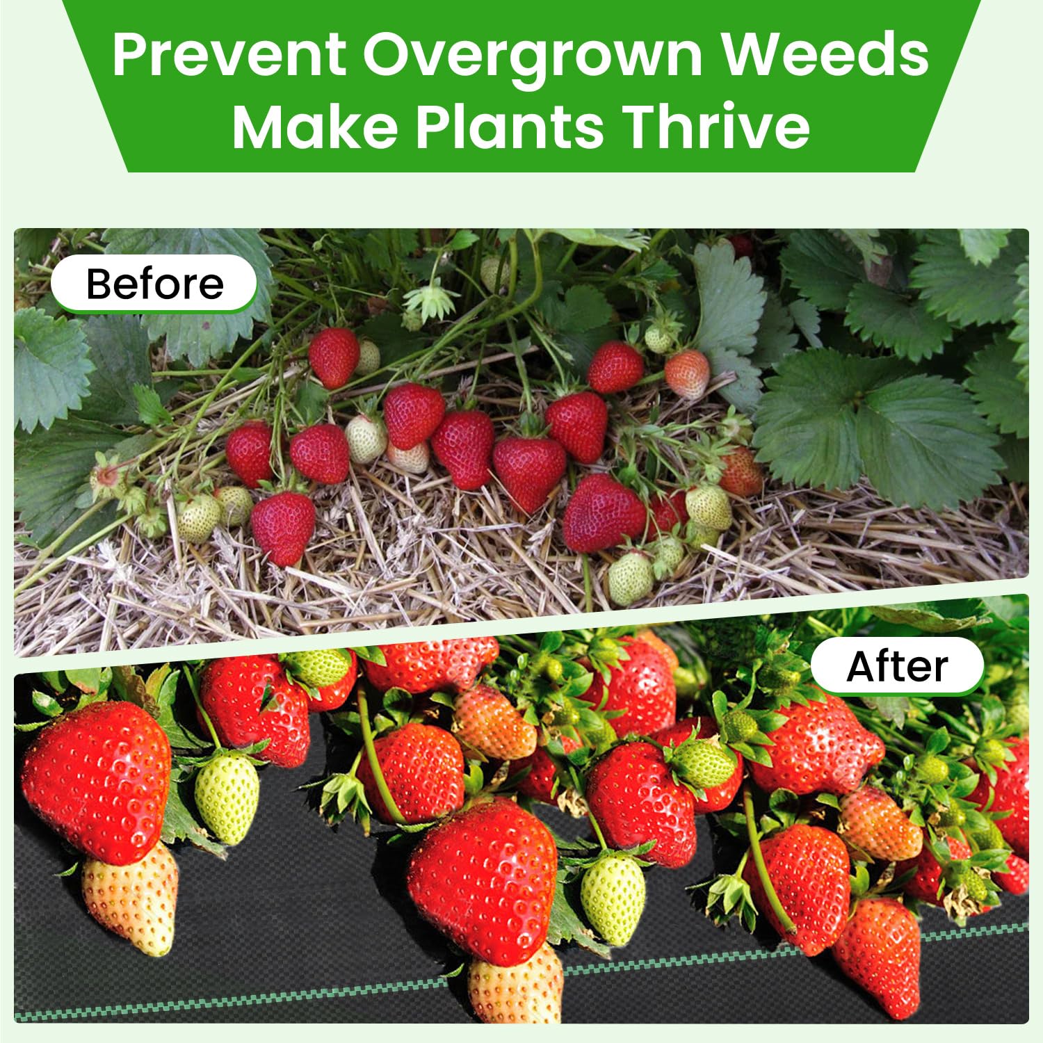 Rintea weed barrier with U-shaped pegs simplifies installation.