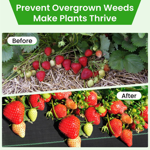 Rintea weed barrier with U-shaped pegs simplifies installation.