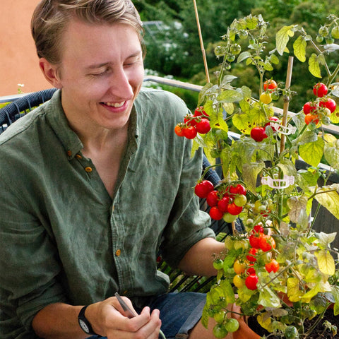 Rinteria 100-pack bulk clips are ideal for balconies and larger gardens.