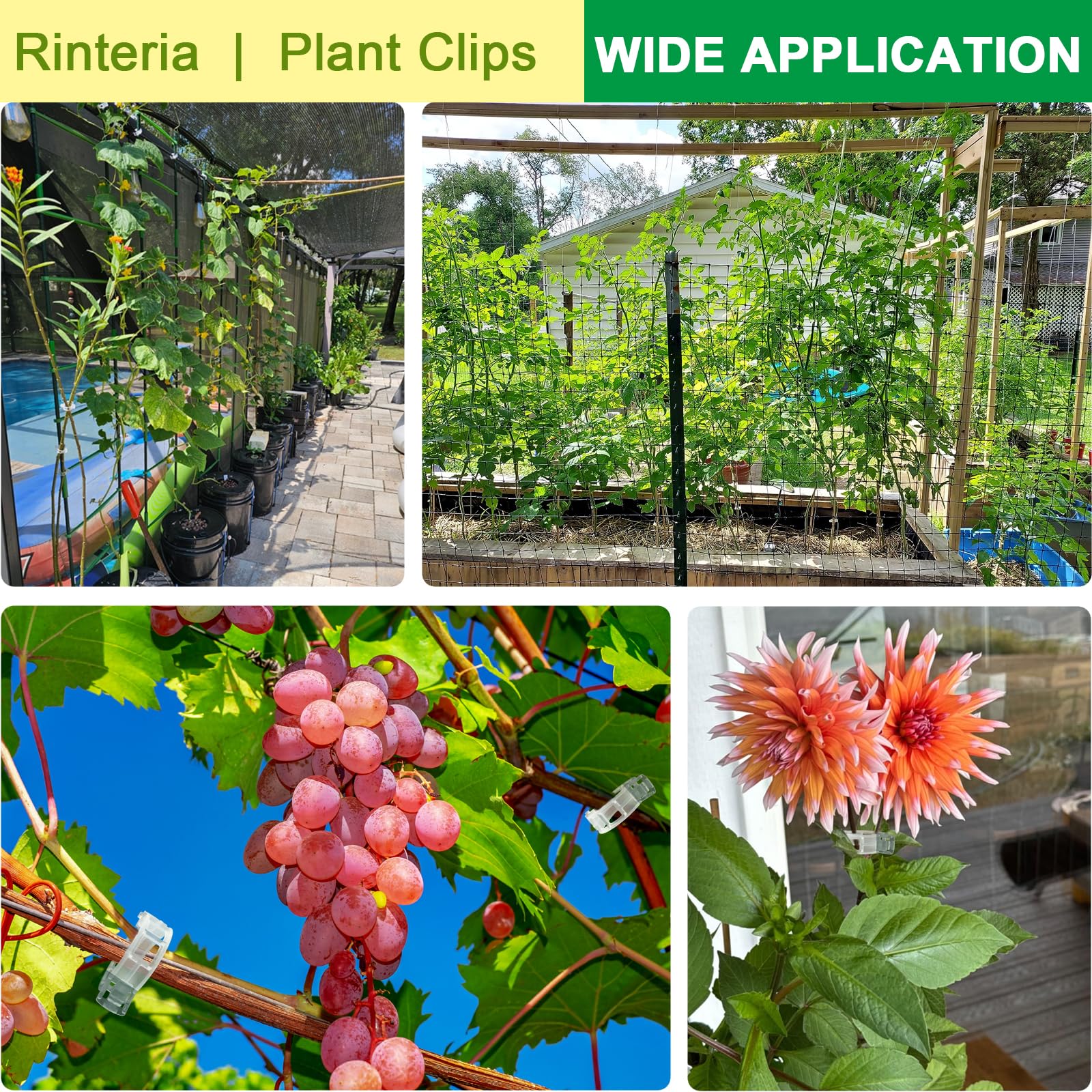 Rinteria garden clips keep vegetables organized on cages and trellises.