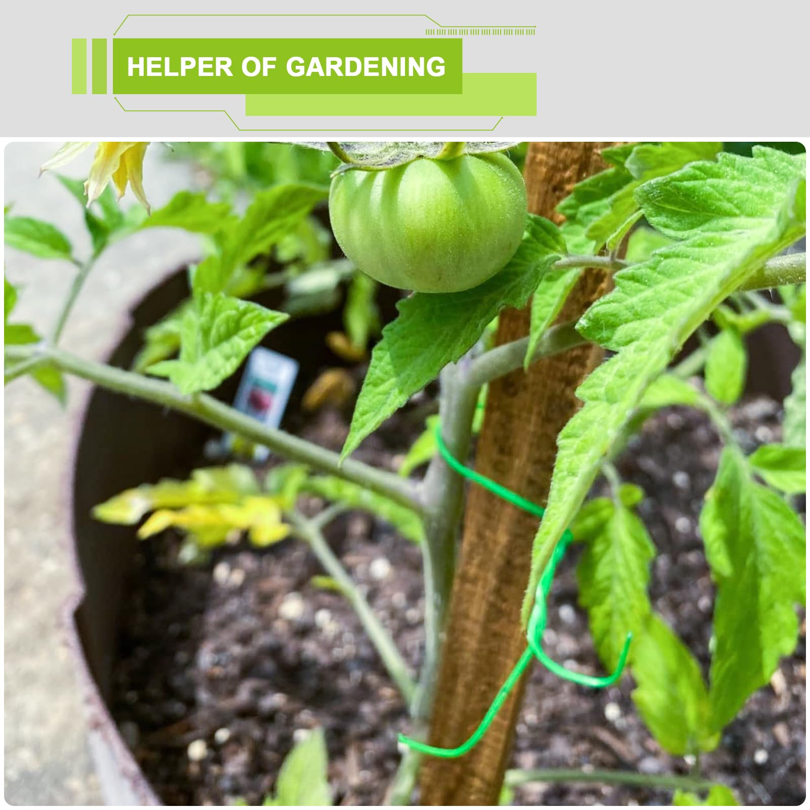 Rinteria garden use for tomatoes, roses, ivy and trellises.