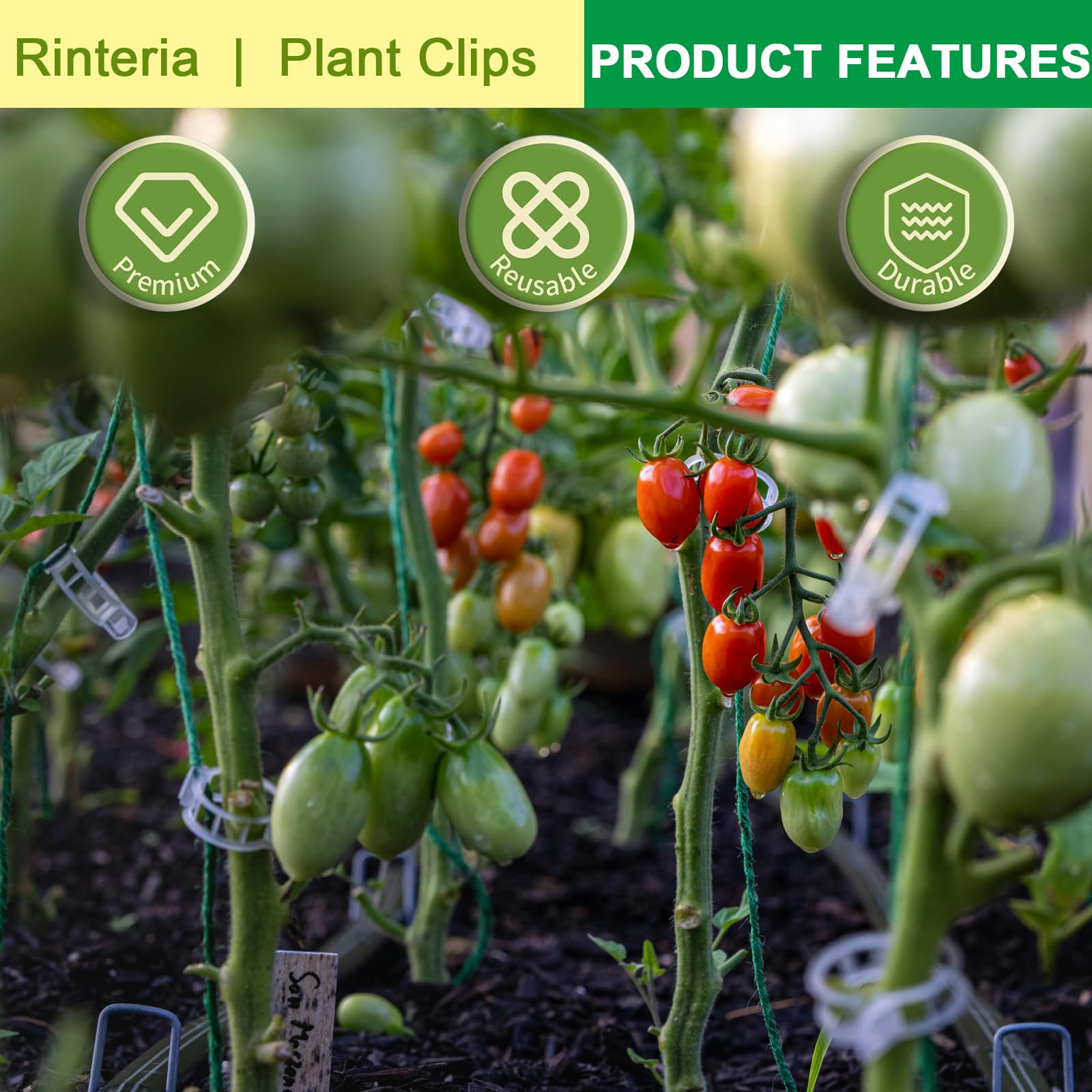 Rinteria reusable clips fit 1-inch stems for versatile trellis setups.