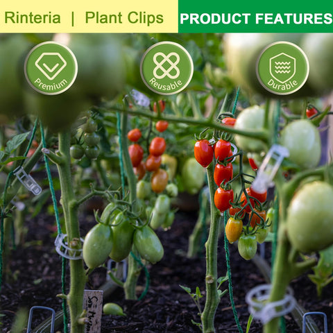 Rinteria reusable clips fit 1-inch stems for versatile trellis setups.