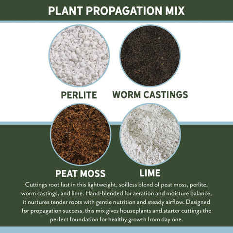 Rio Hamza Trading 4 Quarts Packaging highlights generous volume for multiple propagation batches.