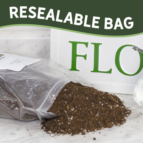 Rio Hamza Trading Clean Soilless Rooting Media reduces mess during nursery tasks.