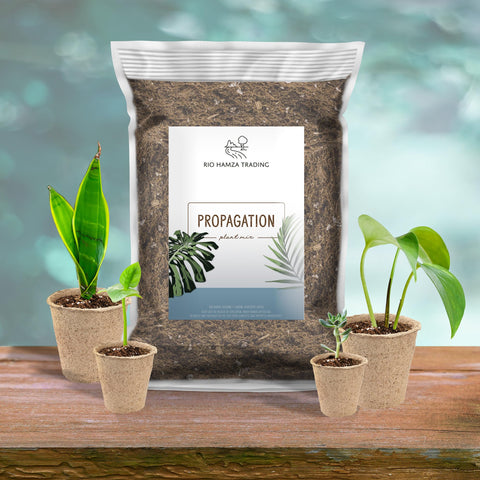 Rio Hamza Trading Hand Blended Soilless Mix closeup reveals uniform texture and clean composition for propagation.