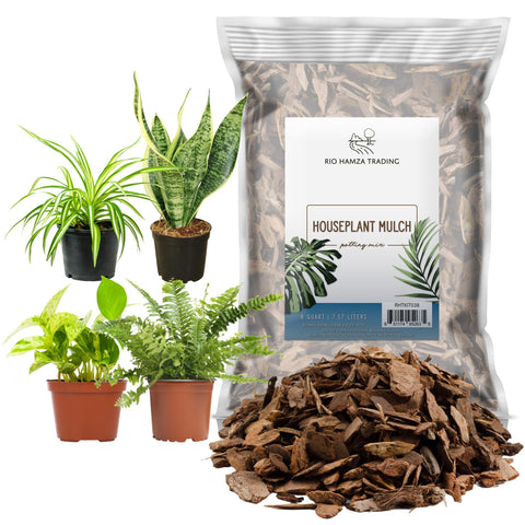 Rio Hamza Trading Houseplant Mulch provides natural bark chips for durable soil cover in indoor pots.