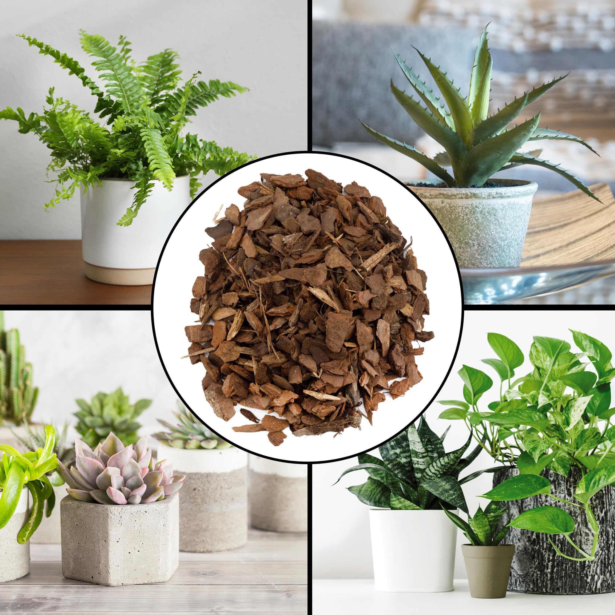 Rio Hamza Trading Houseplant Mulch adds decorative mulch for patios and outdoor planters.