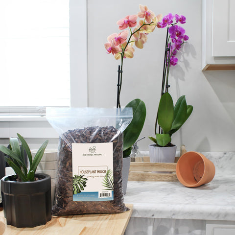 Rio Hamza Trading Houseplant Mulch features long-lasting material versus coir or shavings.