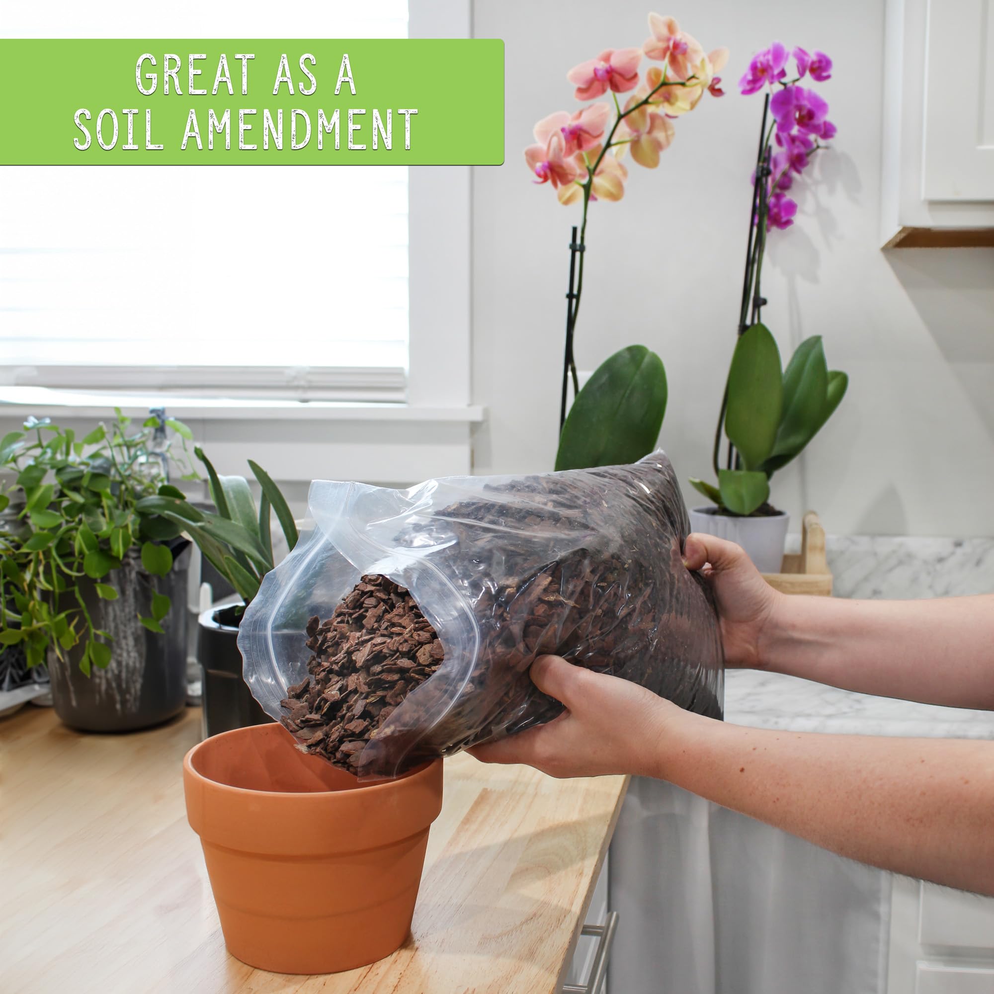 Rio Hamza Trading Houseplant Mulch can suppress weeds in container gardens.