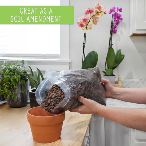 Rio Hamza Trading Houseplant Mulch can suppress weeds in container gardens.