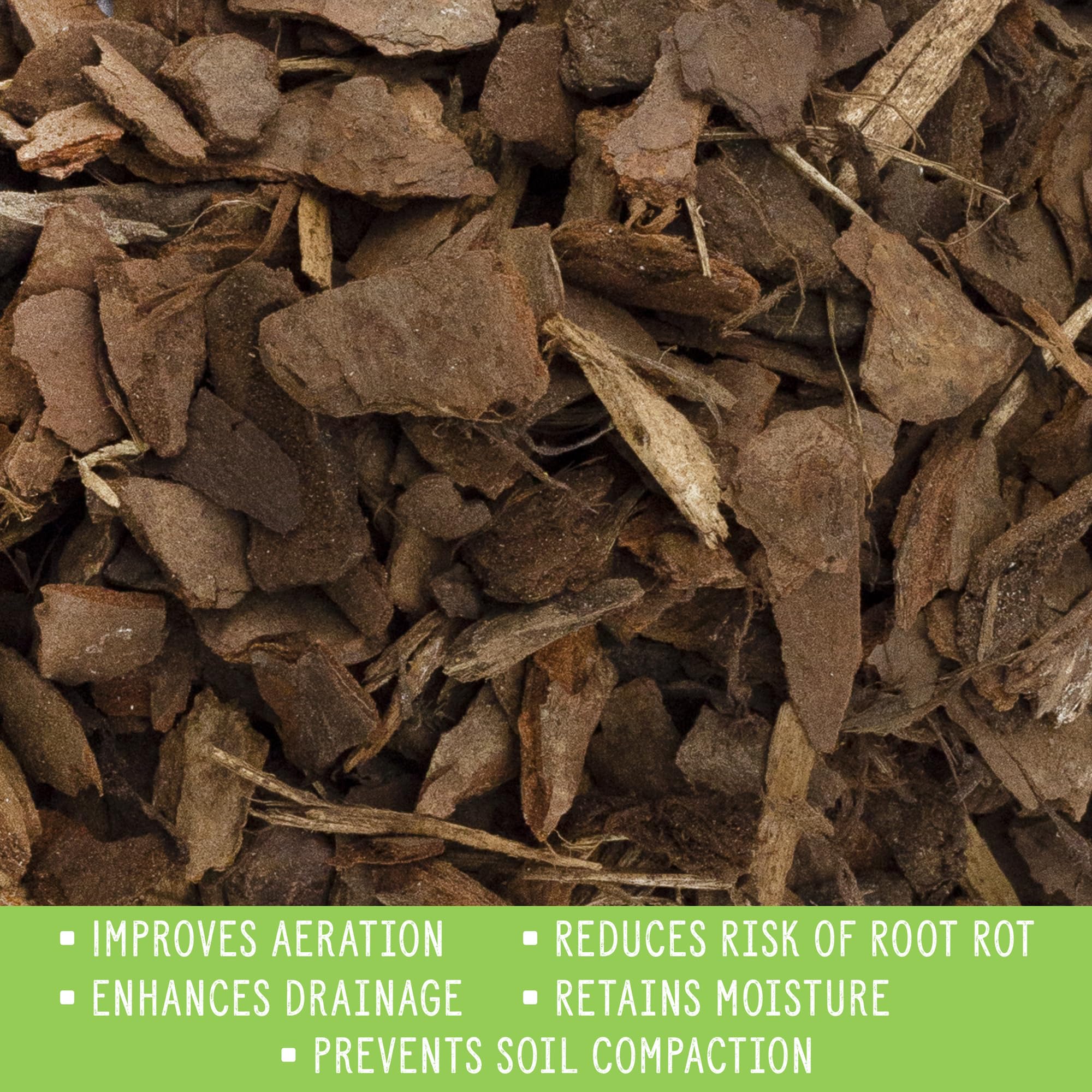 Rio Hamza Trading Houseplant Mulch creates insulating layer for root protection.