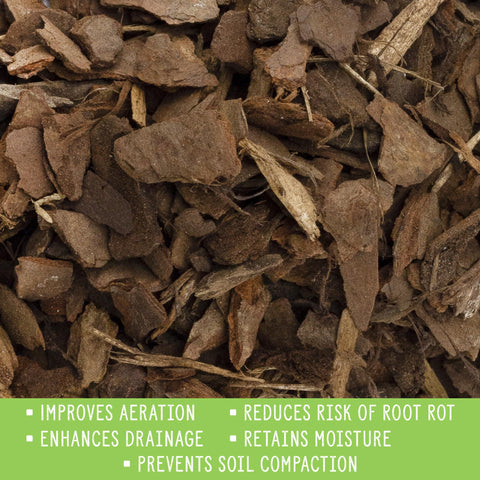 Rio Hamza Trading Houseplant Mulch creates insulating layer for root protection.