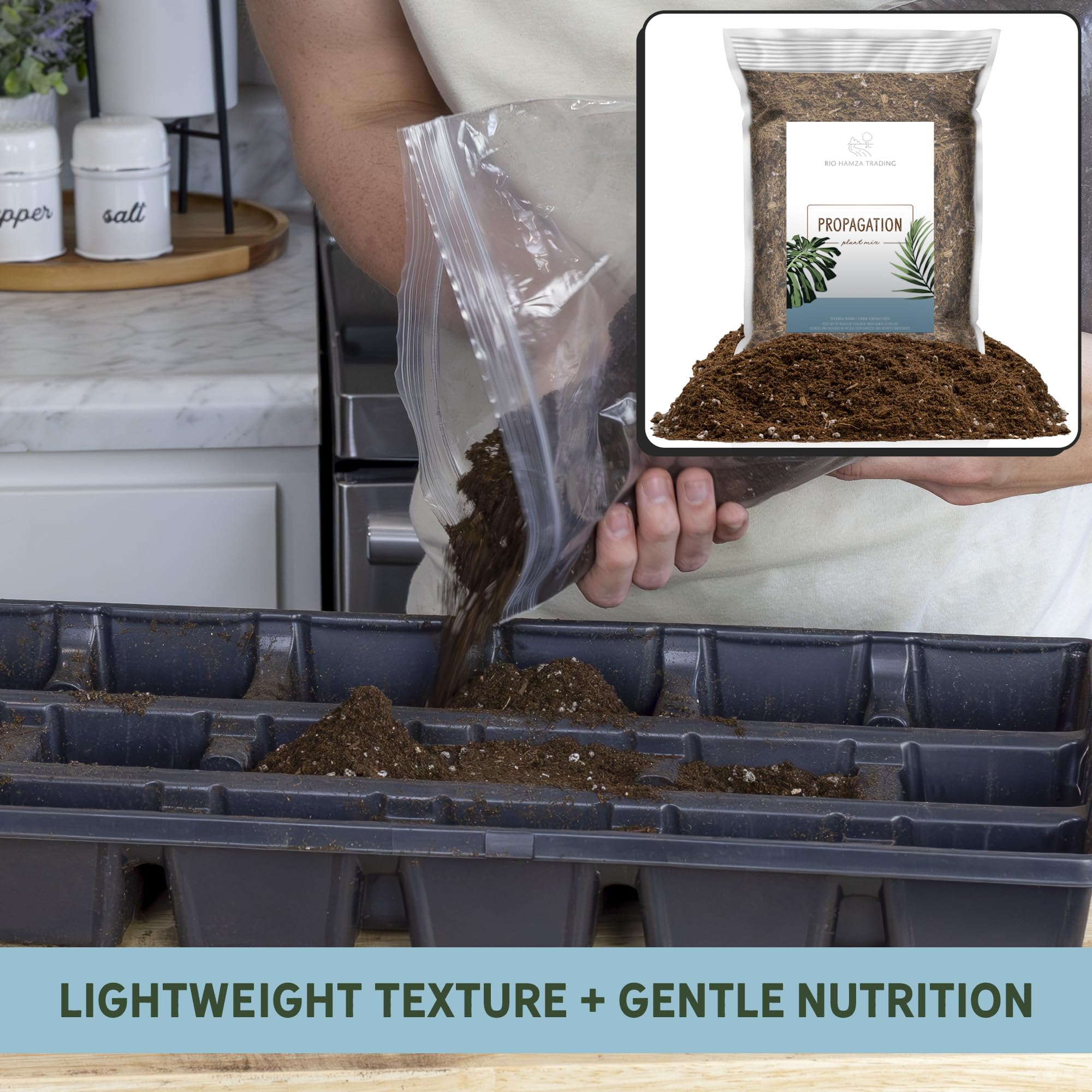 Rio Hamza Trading Houseplants Using Propagation Mix shows thriving cuttings in home settings.