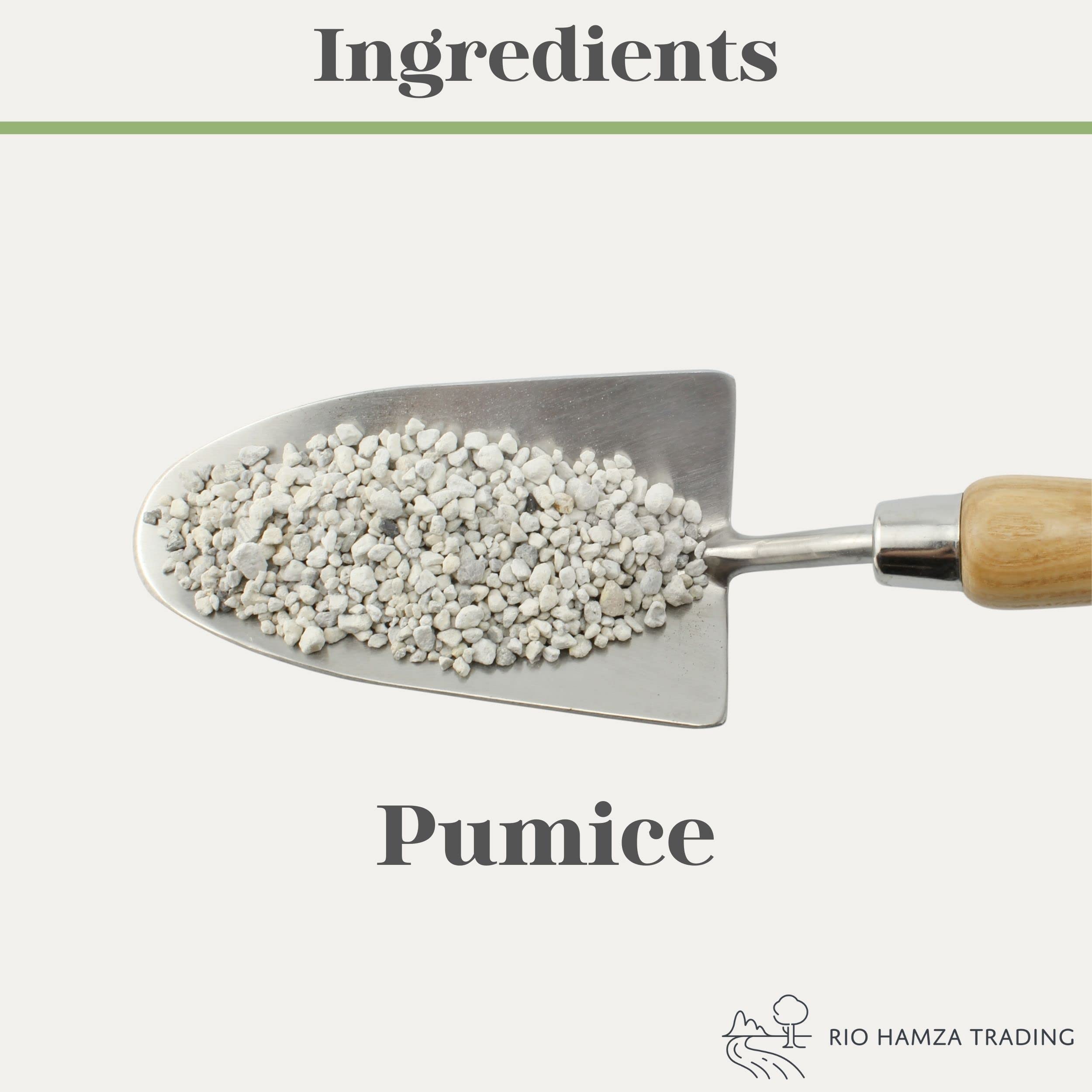 Rio Hamza Trading lightweight pumice for root oxygenation in compact indoor plant pots.
