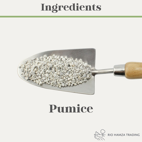 Rio Hamza Trading lightweight pumice for root oxygenation in compact indoor plant pots.