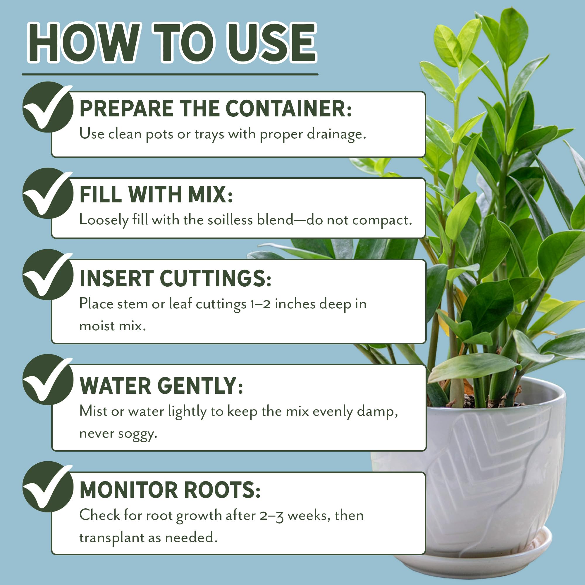 Rio Hamza Trading Moisture Retention Propagation Mix ensures consistent environment for roots.