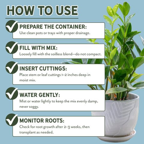 Rio Hamza Trading Moisture Retention Propagation Mix ensures consistent environment for roots.