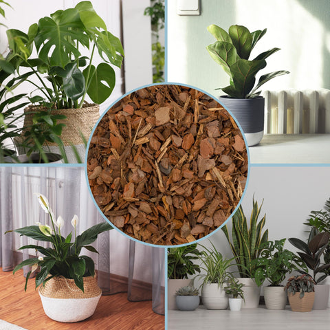 Rio Hamza pine bark mulch nuggets for bonsai care with neat organic cover.