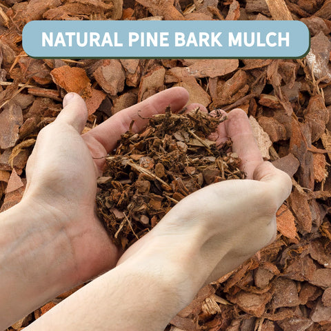 Rio Hamza pine bark mulch nuggets half-inch pieces close-up for soil aeration.