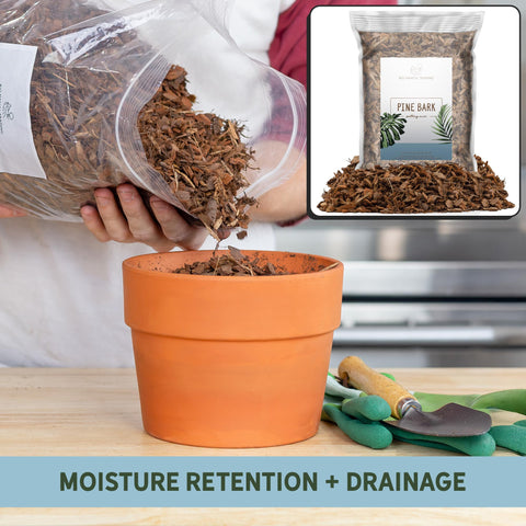 Rio Hamza Trading pine bark mulch nuggets as soil supplement for healthier growth.