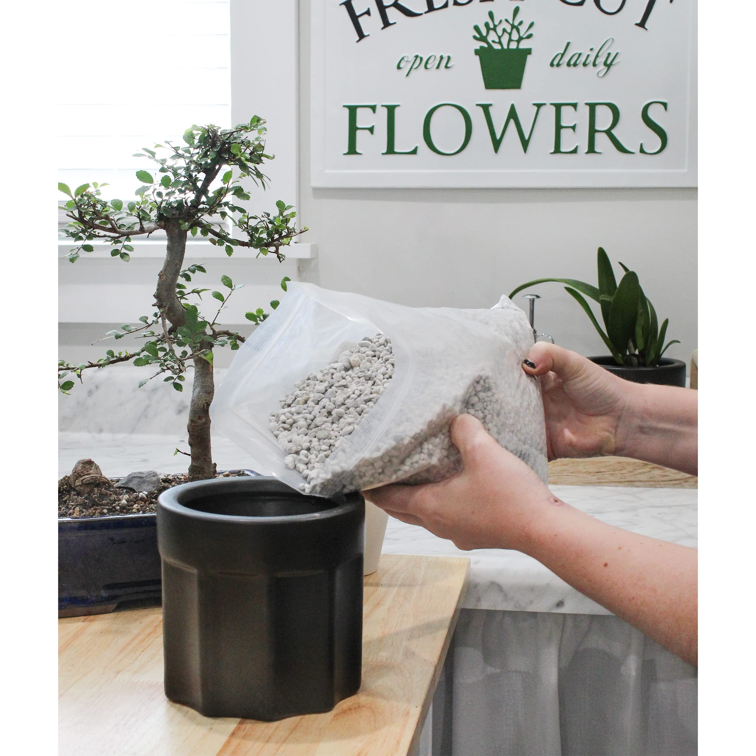 Rio Hamza Trading premium pumice helps achieve consistent mixes for reliable planting results.