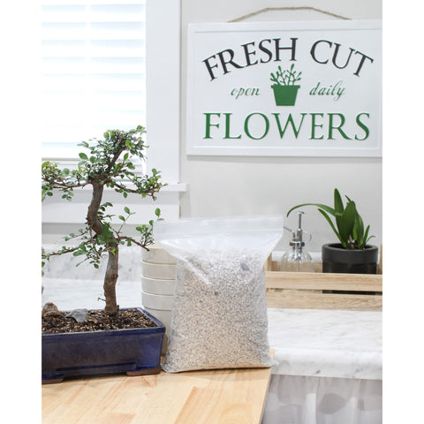 Rio Hamza Trading pumice application for bonsai demonstrates easy repotting and improved aeration.
